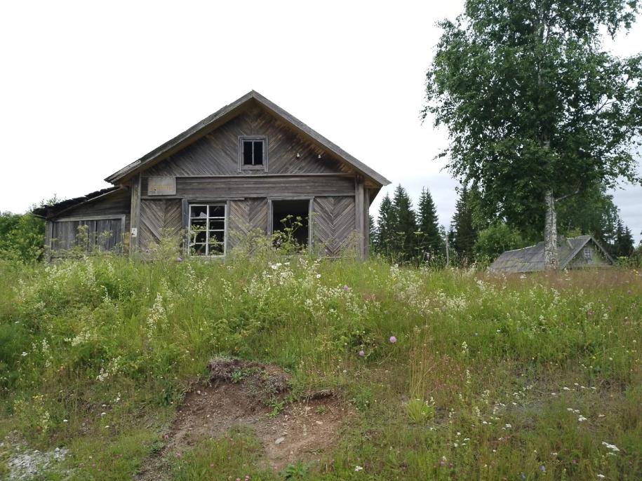 Лесничество  в Койвусельге