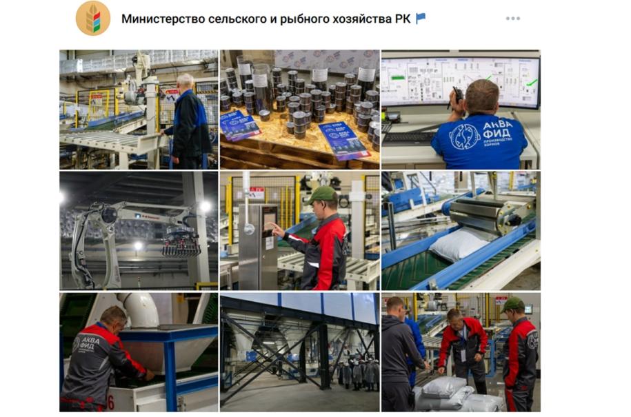 оборудование на заводе и работники