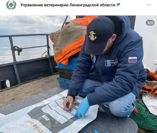 ветслужба берет пробы воды в ладоге