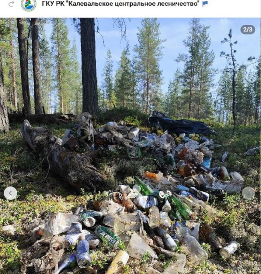бытовой мусор свален в лесу