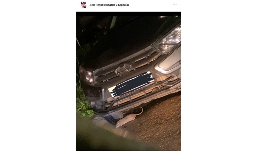 крысы сидят у машины Лада