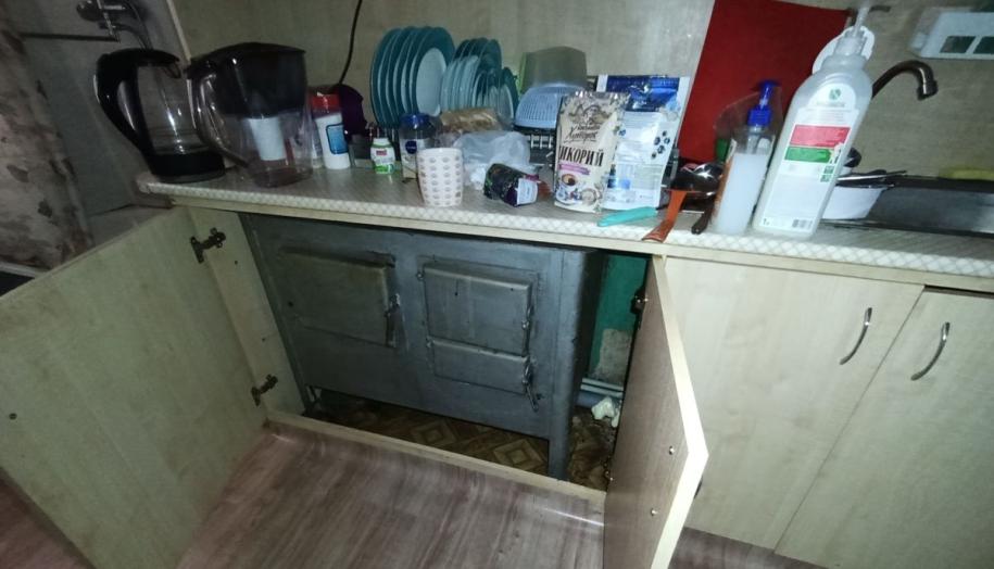 Печка в кухне
