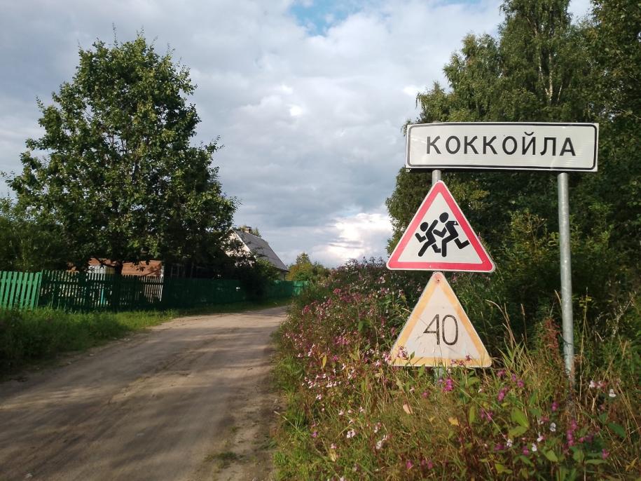 Указатель Койккола