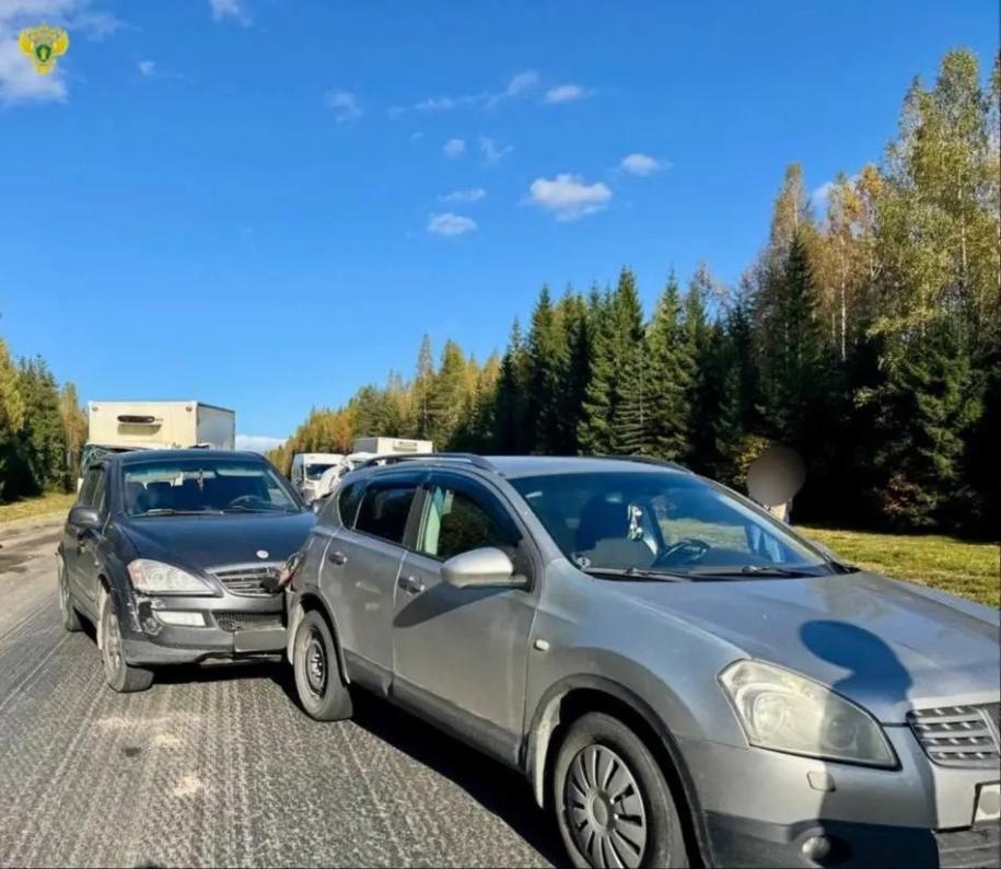 автомобили в дтп