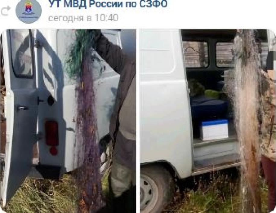 орудия лова