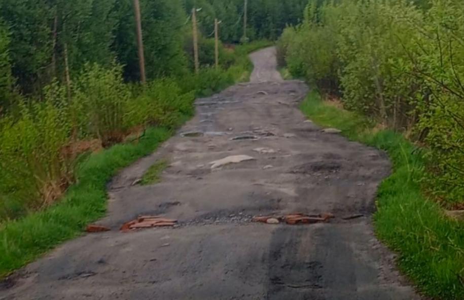 Дорога в Гайжево