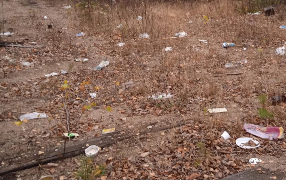 Фото: сообщество «Подслушано Муезерский Free»