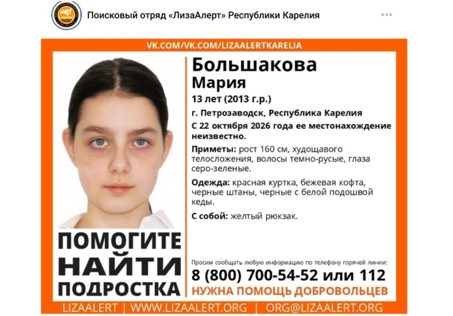 ориентировка от ЛизыАлерт о поиске ребенка