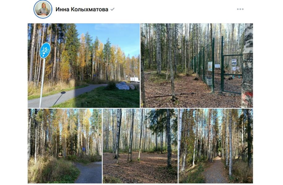 парк, дорожка, деревья