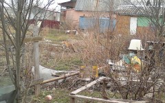 Карелия Лиса 3