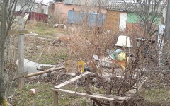 Карелия Лиса 5