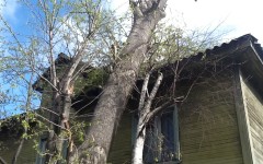 Советская, 24