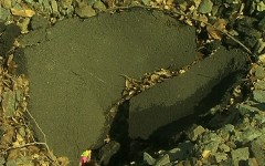 Набережная Петрозаводска