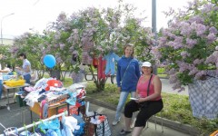Ароматный куст сирени – лучшее торговое место для барахольщика