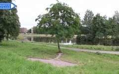ленд-арт20