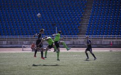 20140450IMG_1522