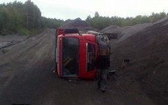 лось4
