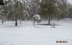 jeskanen3
