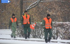 Первый снег Петрозаводск