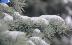 Первый снег Петрозаводск