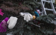 IMG_88691812