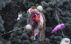 IMG_88871812