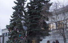 IMG_88921812