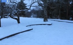 IMG_9224