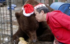 Zoo owner Manny Tangco kisses a grizzly bear during the Animal Christmas party at Malabon Zoo in Manila